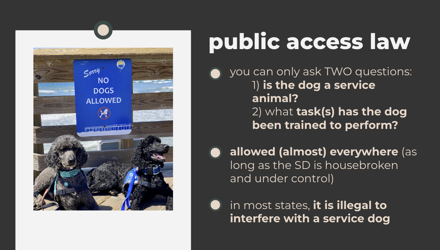 Service dog talk slide in Lynn's branding palette. It discusses Public Access rights of service dog teams, and laws around interfering with a service animal.